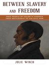 Cover image for Between Slavery and Freedom